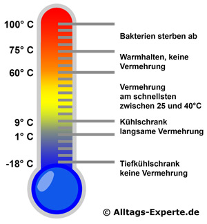 Bakterien Thermometer