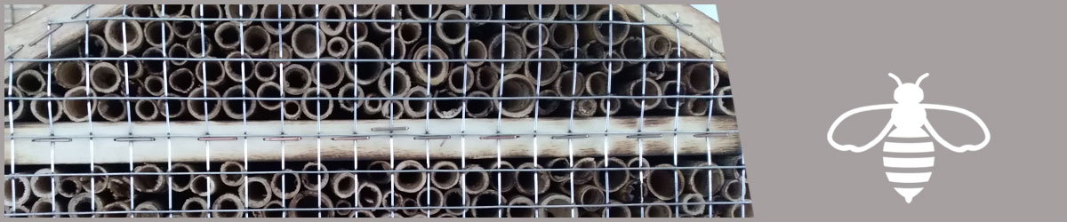 Insektenhotels Haus & Niestkasten für Wildbienen & andere Insekten Insektenhotels