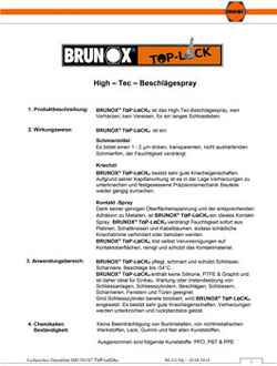 Brunox Schloss-Spray Datenblatt