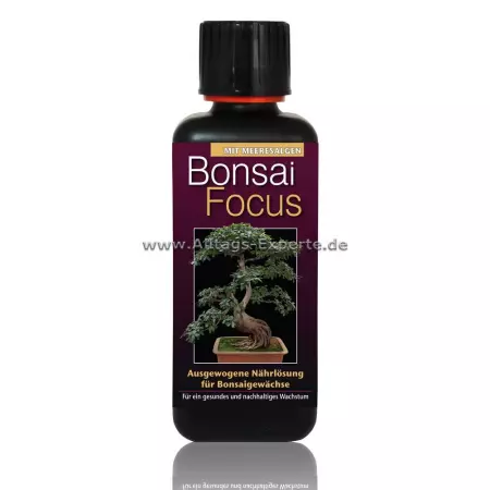 Bonsai Dünger Konzentrat