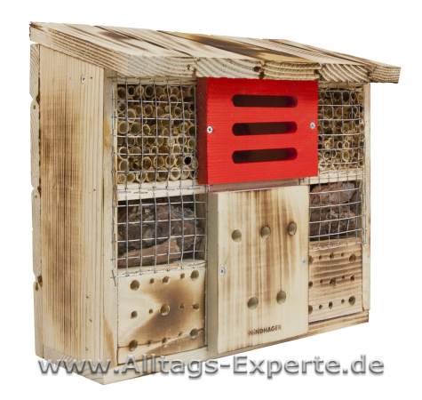 Insektenhotel Zur Linde Insektenhotel Zur Linde