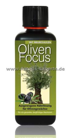 Dünger für Olivenbäume Konzentrat