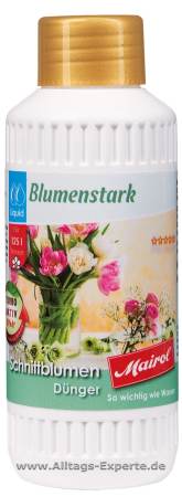 Blumenfrisch - Schnittblumen Frisch Blumenfrisch - Schnittblumen Frisch