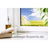 Fliegen Klebefalle Fenster