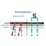 Lederpflege Atmungsaktiv