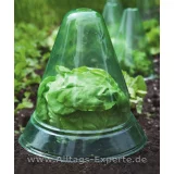 Pflanzenhut Salat Beet
