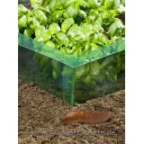 Schnecke Barriere