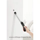 Spinnensauger Insektensauger