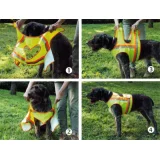 Warnweste Hunde Anlegen