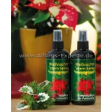 Weihnachtsstern Pflege Spray