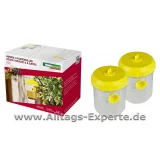 Wespen Fliegenfalle